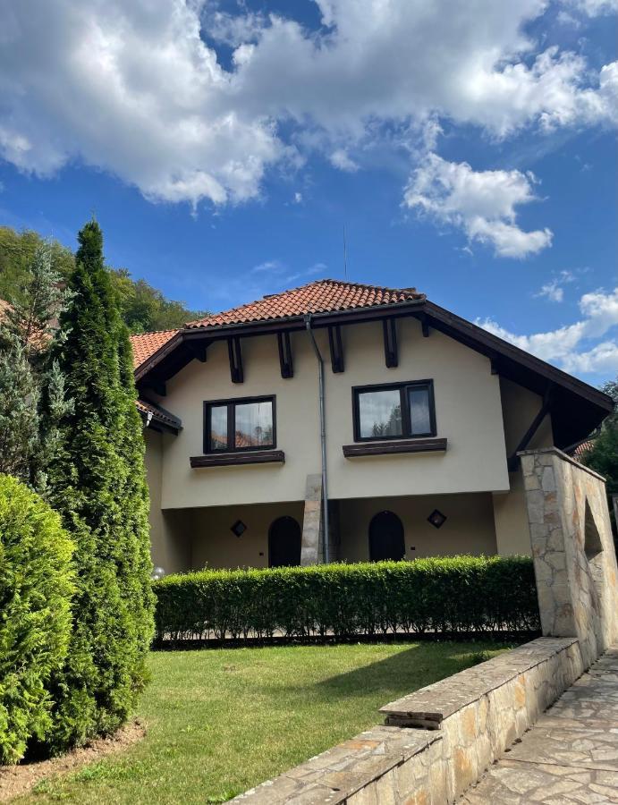 Вила 11 - Семейна Почивка В Сърцето На Балкана Ribarica Exterior foto